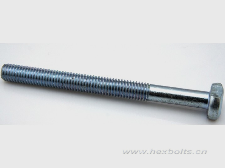 Transhow Round Head Bolts