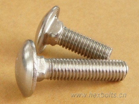Transhow Carriage Bolt stainless steel