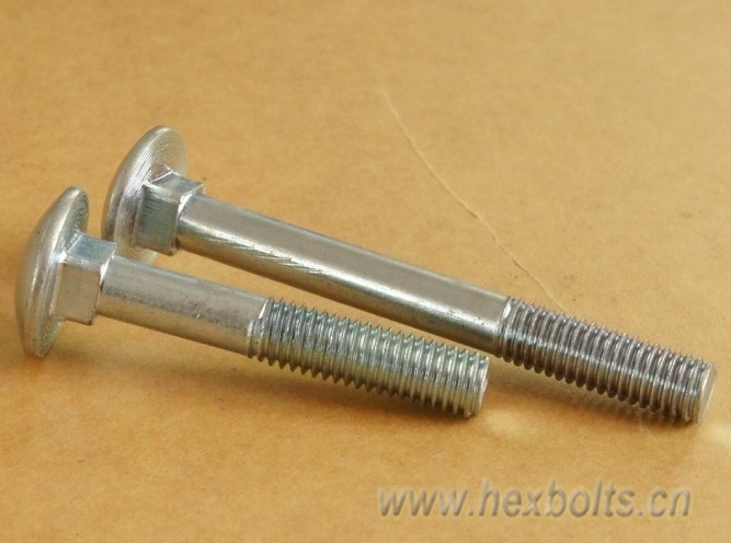 Transhow Steel Carriage bolts