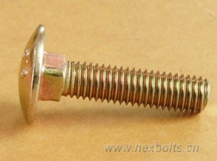 Transhow Carriage bolt Gr8.8