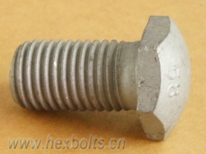 Transhow HDG Carriage Bolts