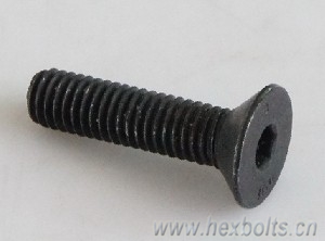 socket drive csk screw transhow