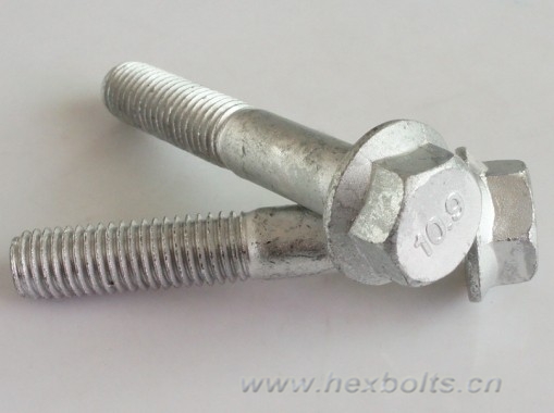 Transhow Hex Flange Bolt