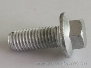 Transhow Hex Flange Bolt