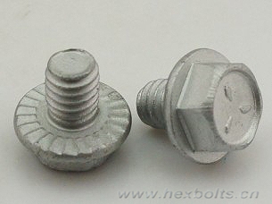 Transhow Hex Flange Bolt