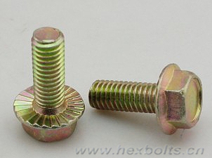 Transhow Hex Flange Bolt
