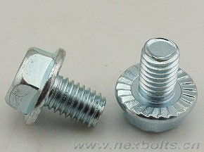 Transhow Hex Flange Bolt