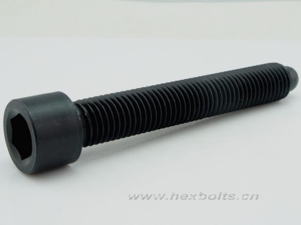 Transhow High Strength Bolt
