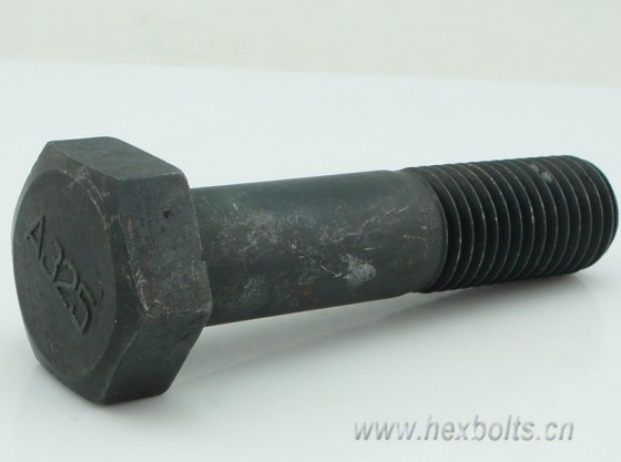 Transhow High Strength Bolt