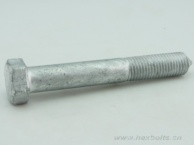 Transhow High Strength Bolt