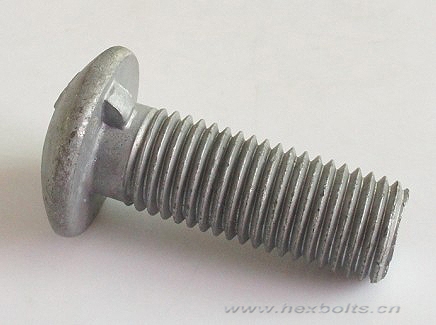 Transhow Round Head Bolts