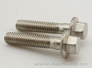 Transhow Hex Flange Bolt